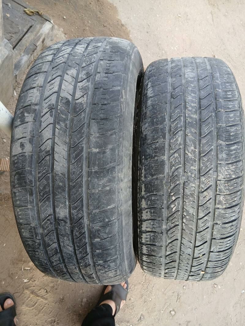 teker 450 TMT - Gumdag - img 1