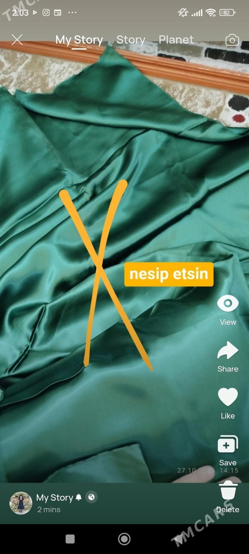 gadymy matalary alyaryn - Балканабат - img 5