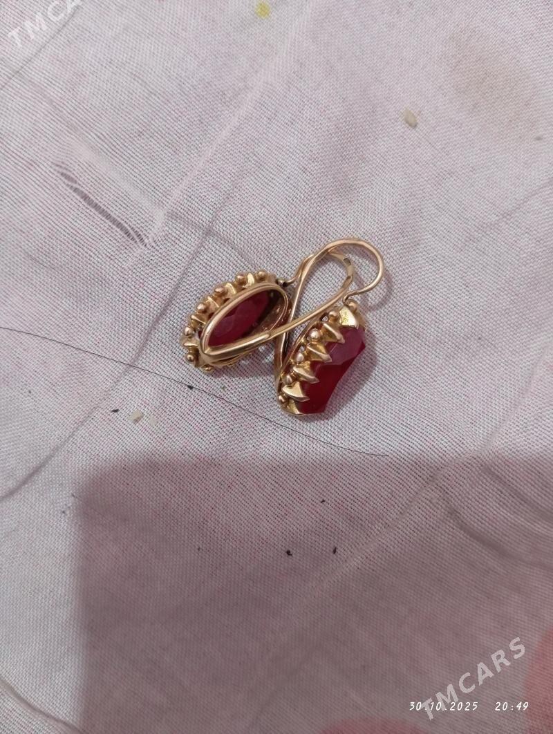 Гызыл гулакхалка - Гороглы (Тагта) - img 3