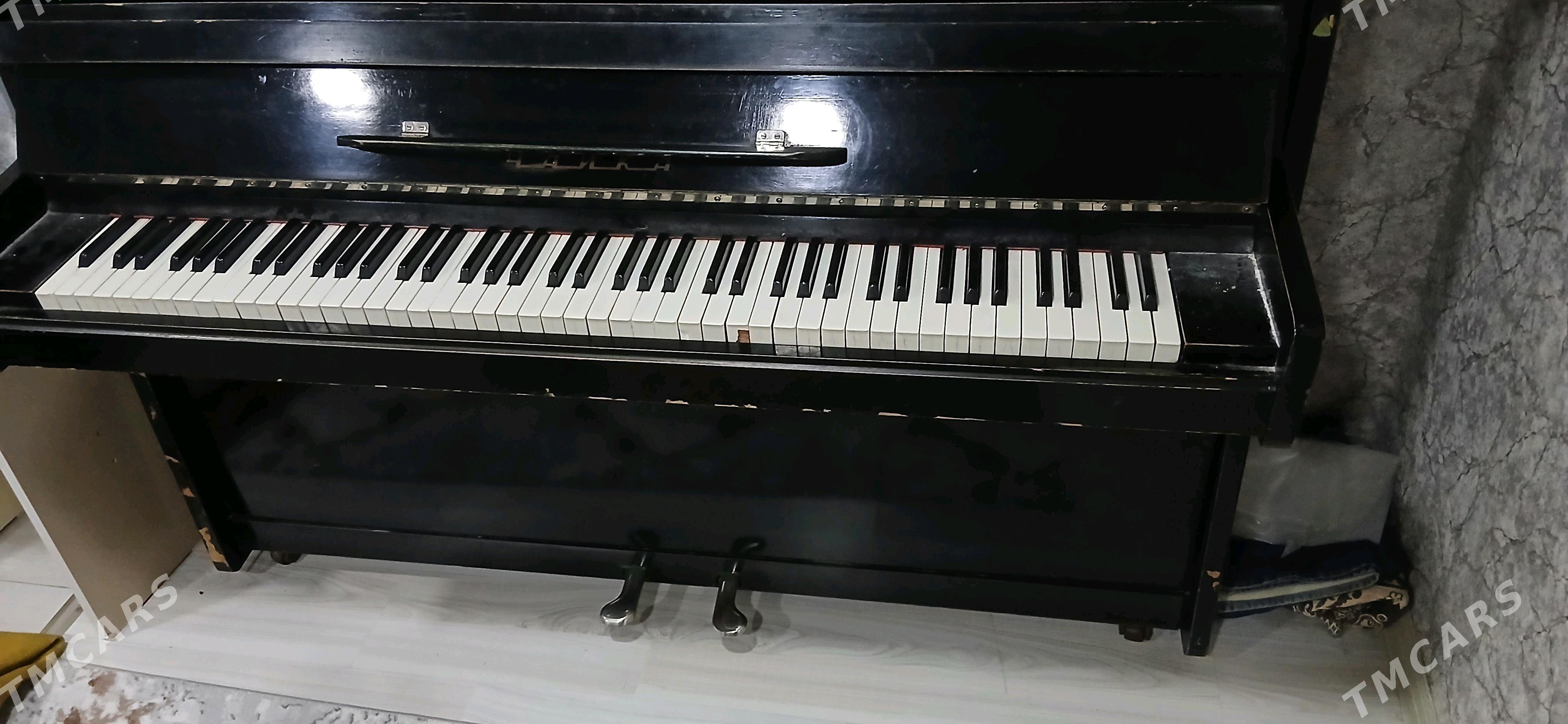 Pionina - Балканабат - img 3