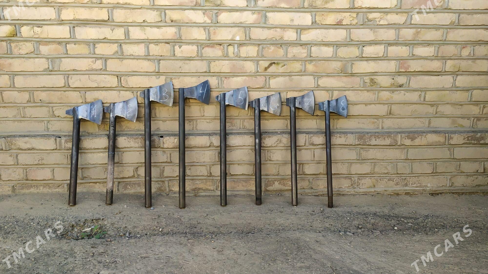 Palta🪓.Mangal️.Jaňlaşaý. - Sakarçäge - img 1