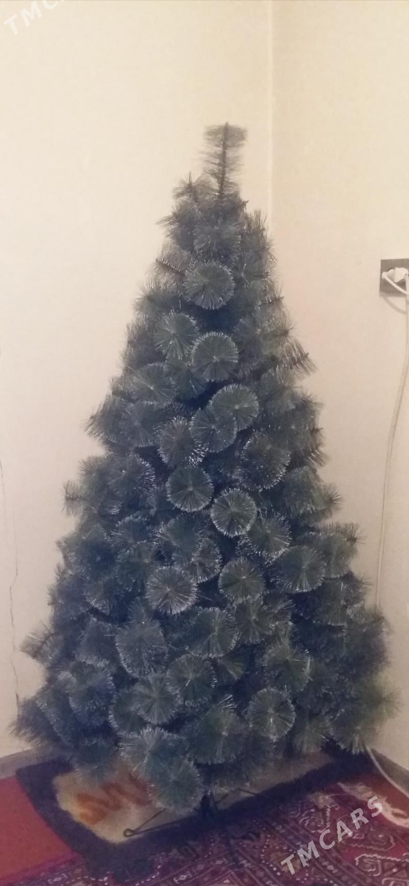 yolka. ëlka - Ашхабад - img 1