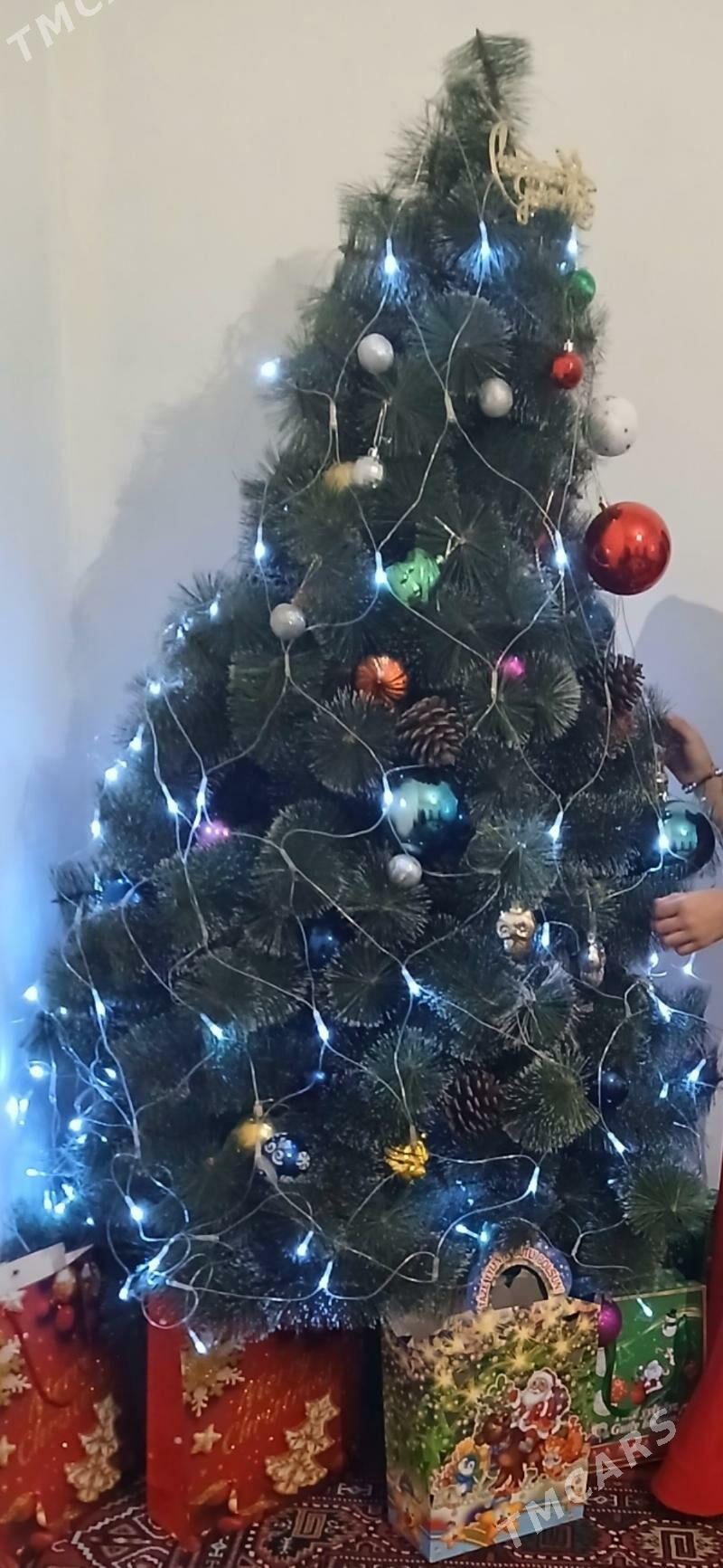 yolka. ëlka - Ашхабад - img 2