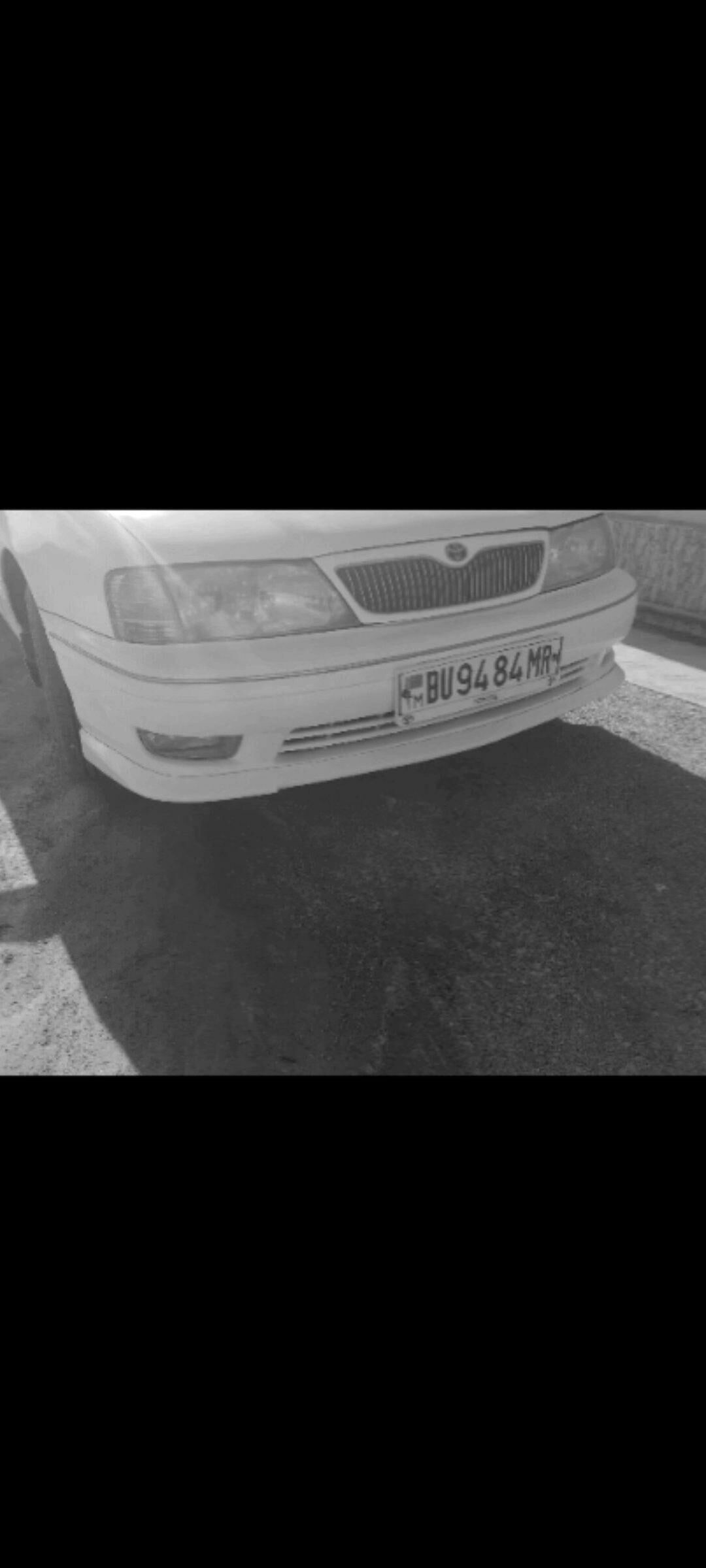 Avalon abdelka 600 TMT - Mary - img 2