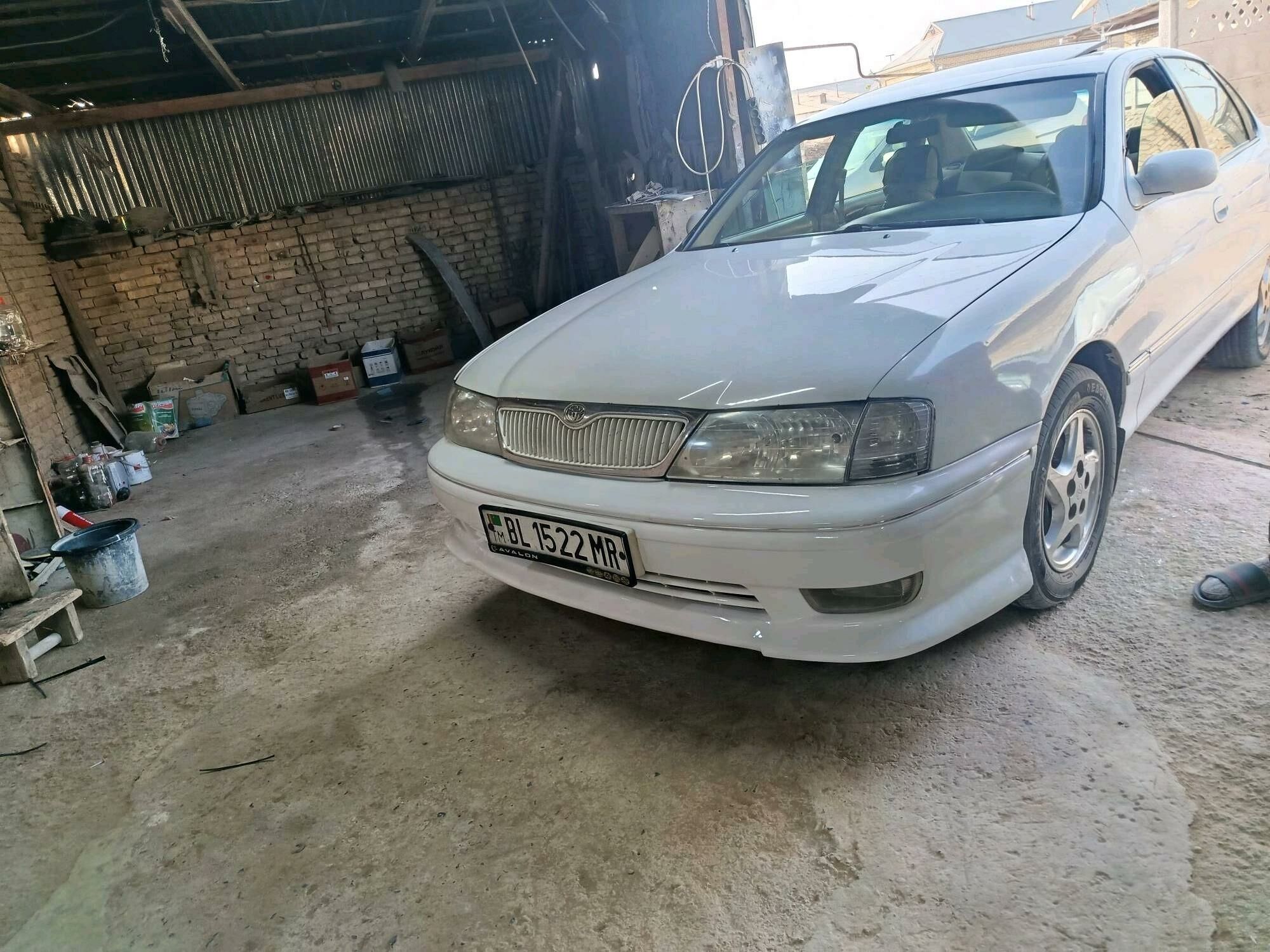 Avalon abdelka 600 TMT - Mary - img 5