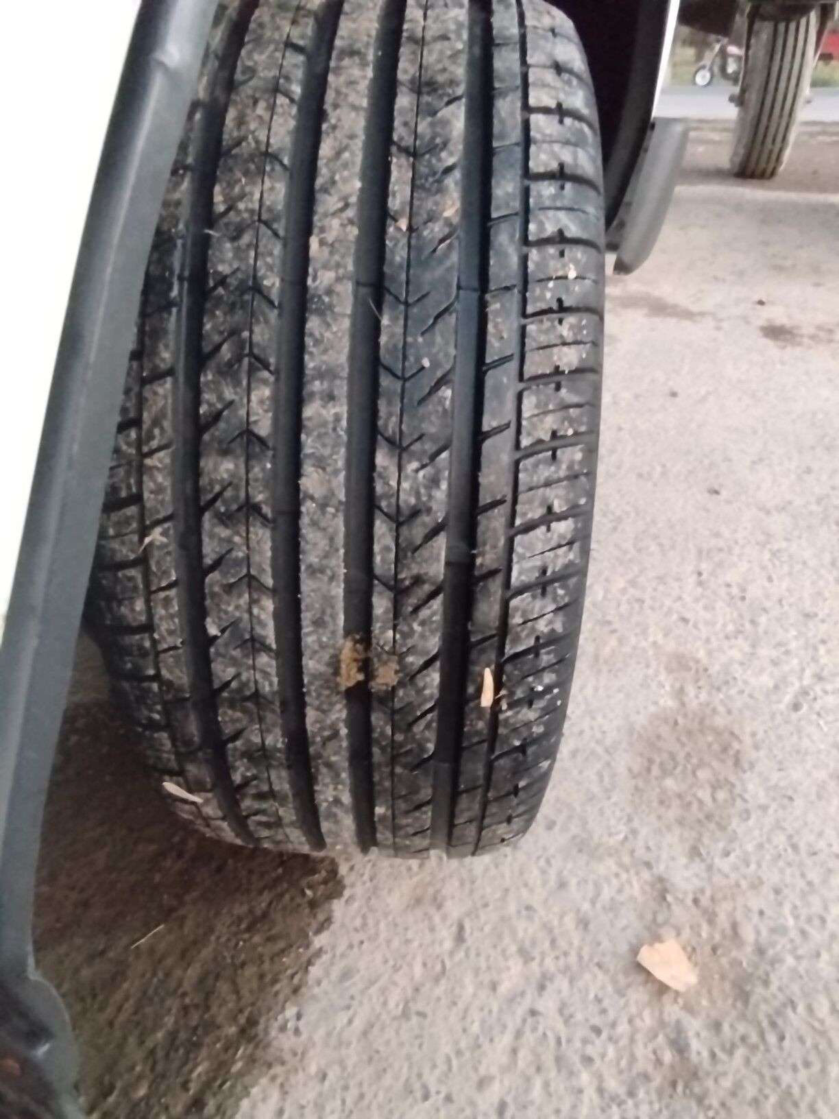 Wilis Disge 3 600 TMT - Мары - img 6