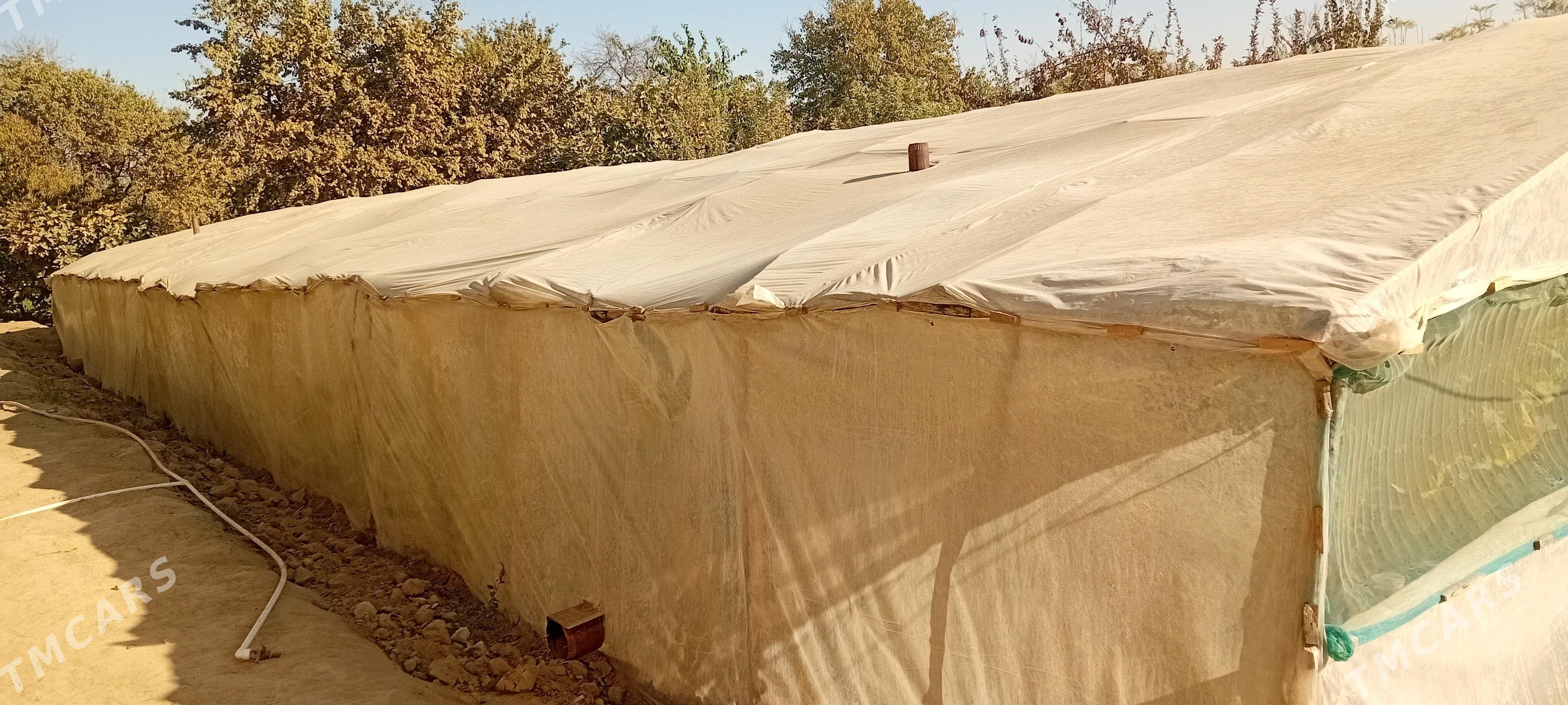 teplisa - Байрамали - img 2