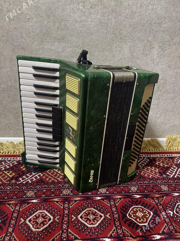 Akardiyon - 6 мкр - img 2