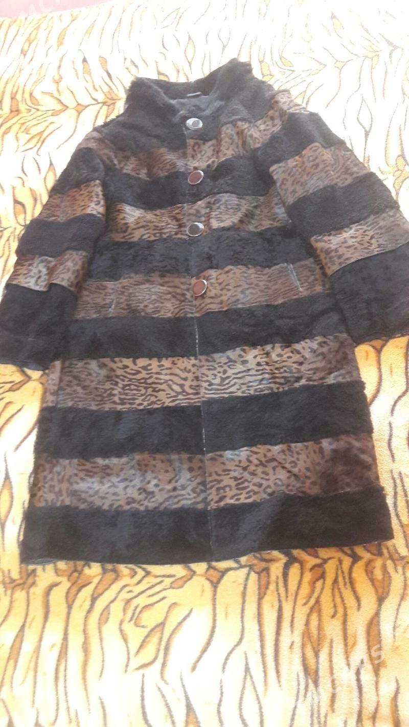 Tigrowny Şuba - Daşoguz - img 2