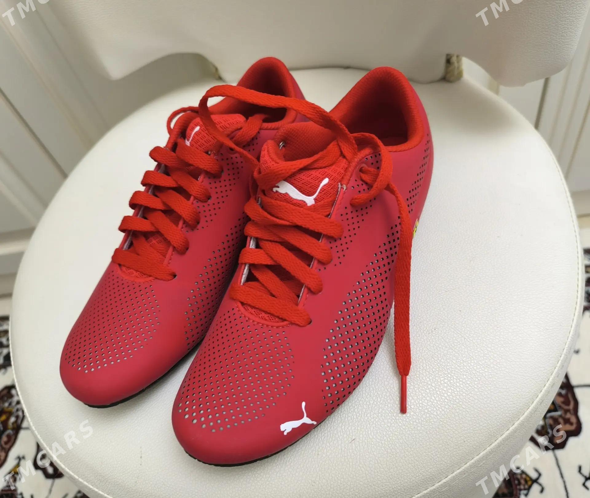 Красовки - Aşgabat - img 3