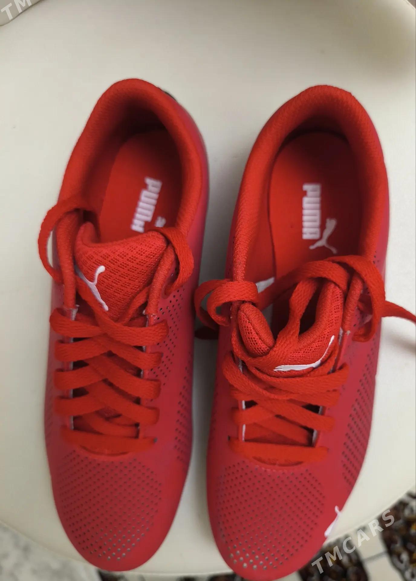 Красовки - Aşgabat - img 2