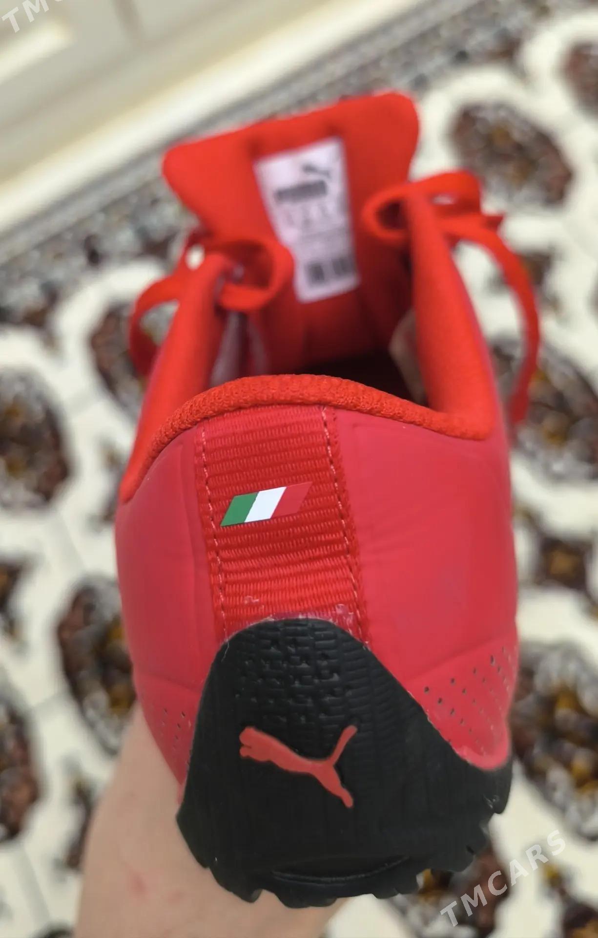 Красовки - Aşgabat - img 5