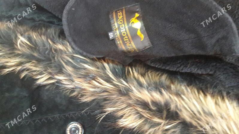 Diblýonka - Дашогуз - img 2