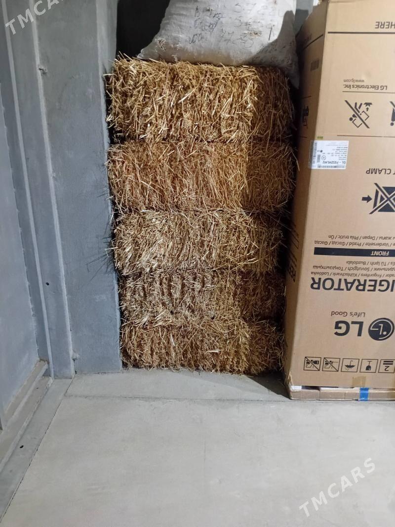 saman - Balkanabat - img 2