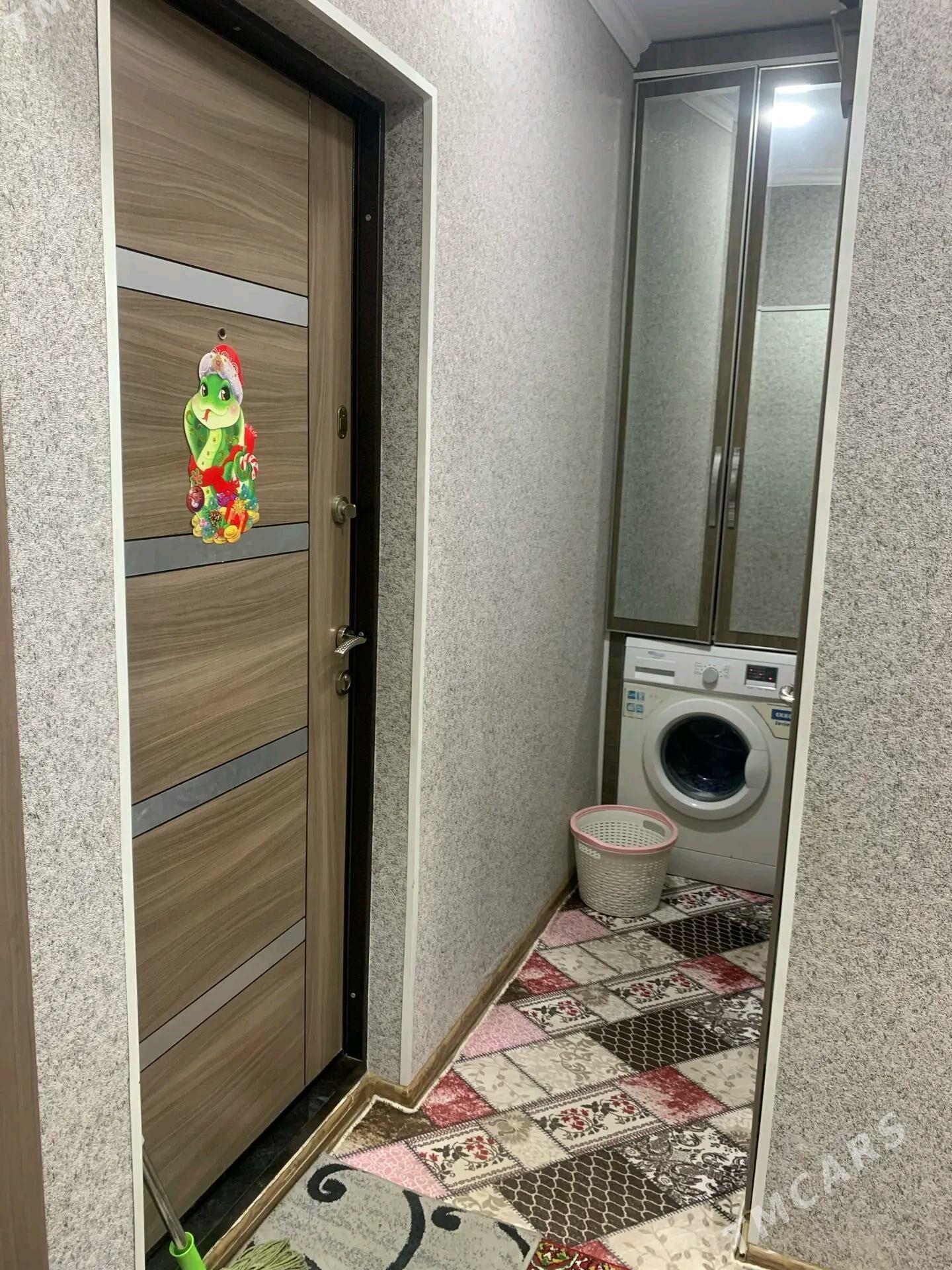 Satlyk jay - Mary - img 4