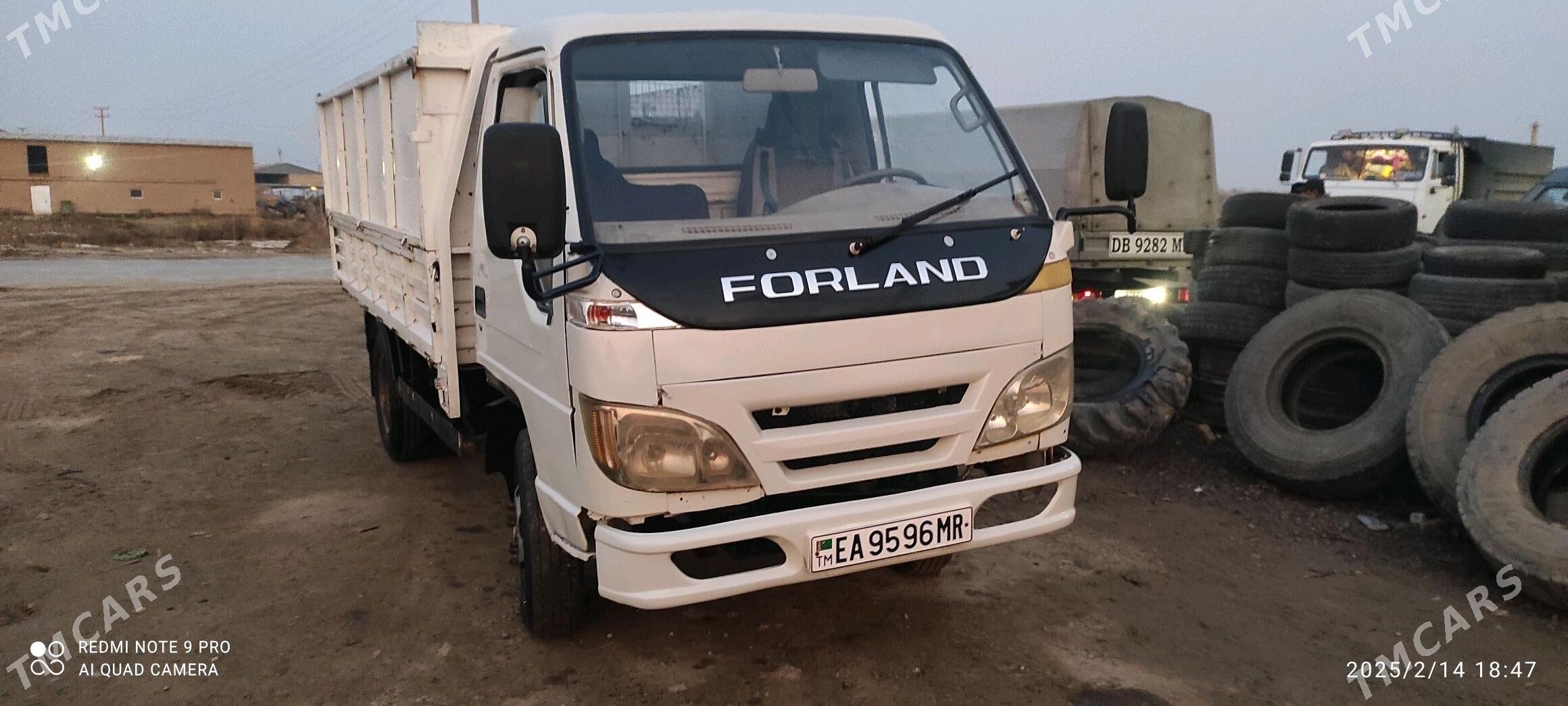 Forland H2 2008 - 78 000 TMT - Sakarçäge - img 2