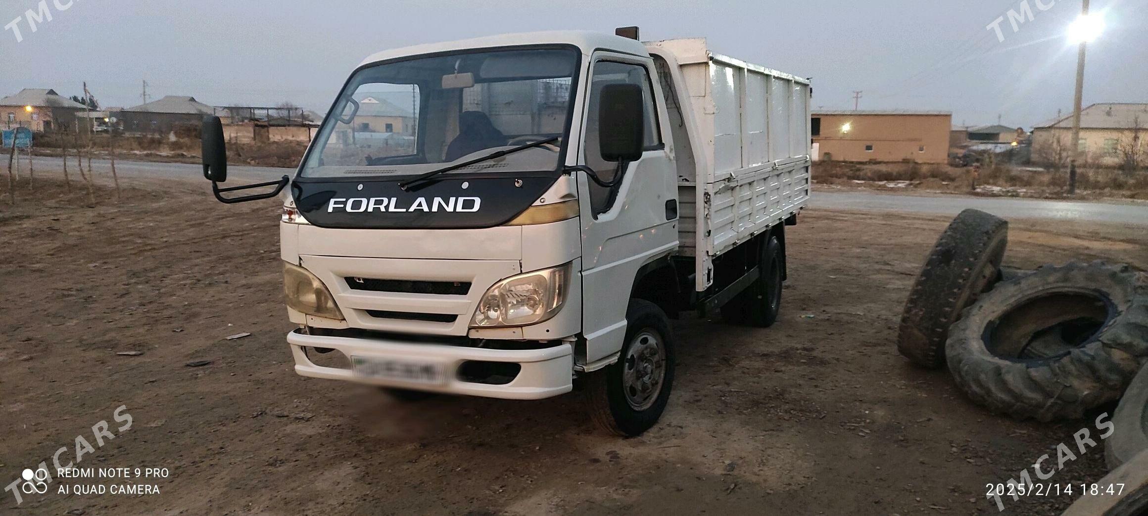 Forland H2 2008 - 78 000 TMT - Sakarçäge - img 1