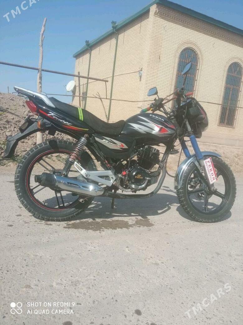 Fekon FK200-14G 2014 - 20 000 TMT - Дянев - img 4