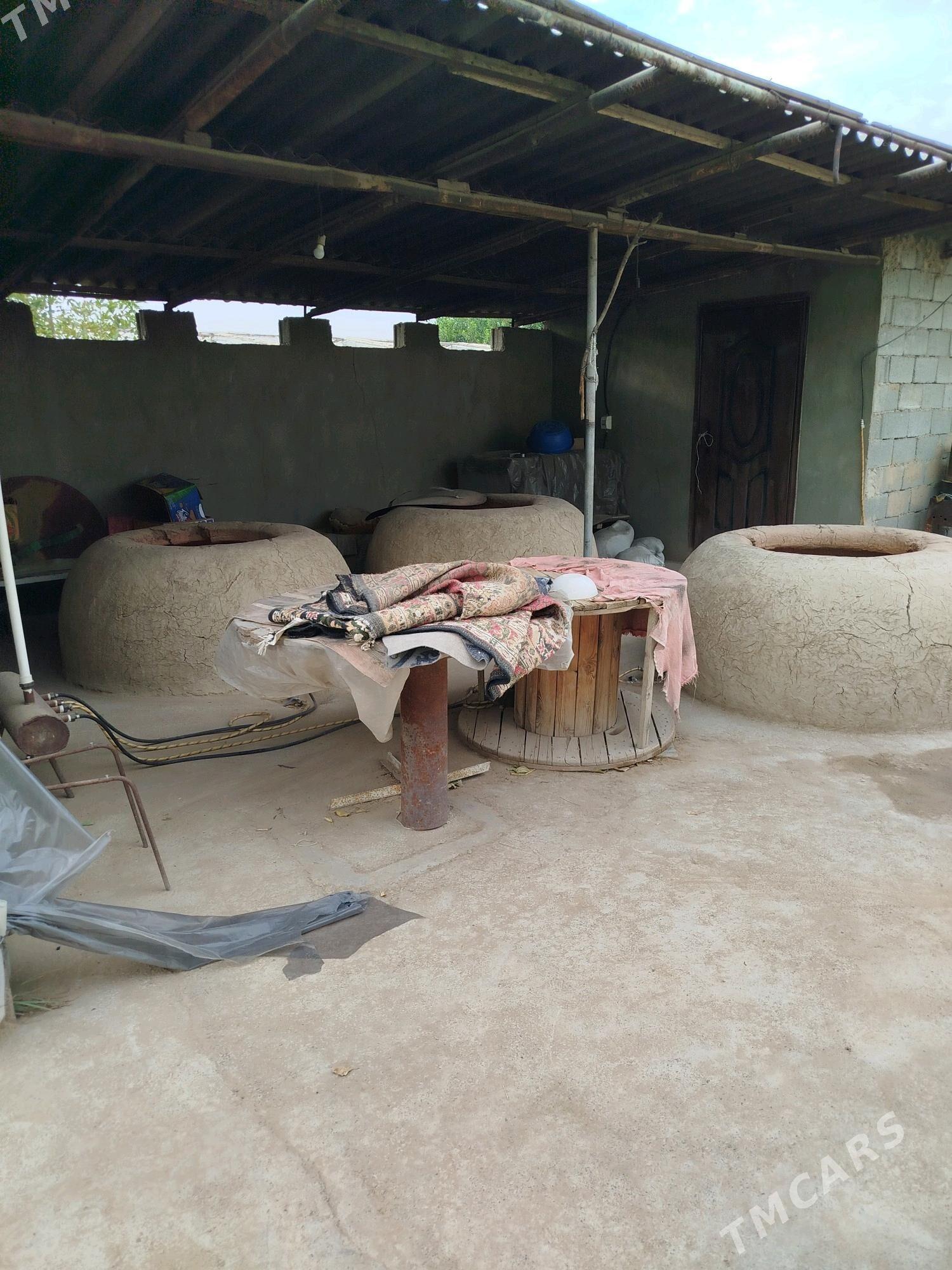 pekarny - Herrikgala - img 6