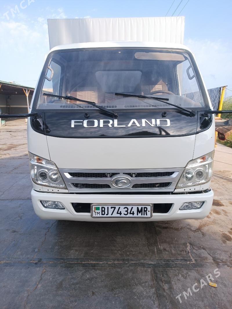 Forland H2 2013 - 135 000 TMT - Mary - img 1