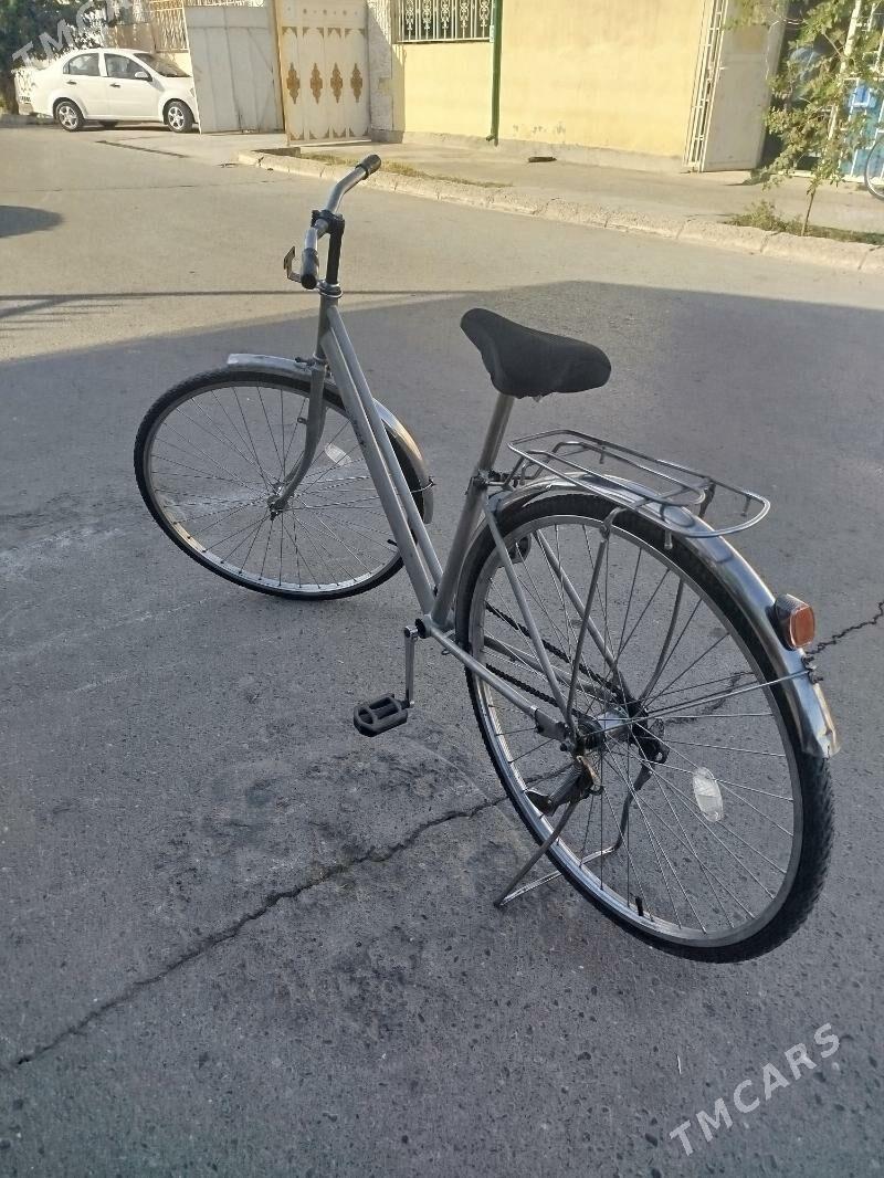 Tigr - Кипджак - img 1