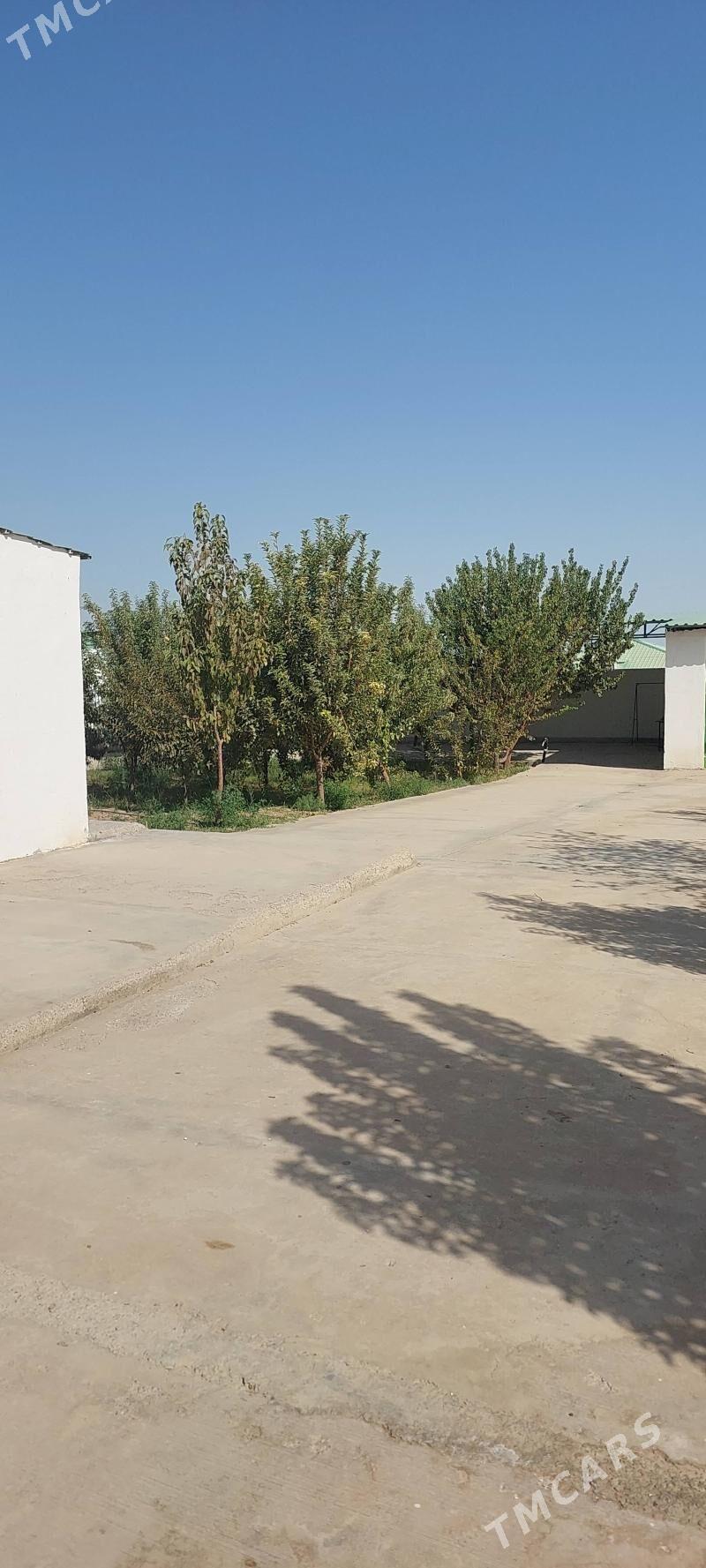 квартира - Ак-Бугдайский этрап - img 1