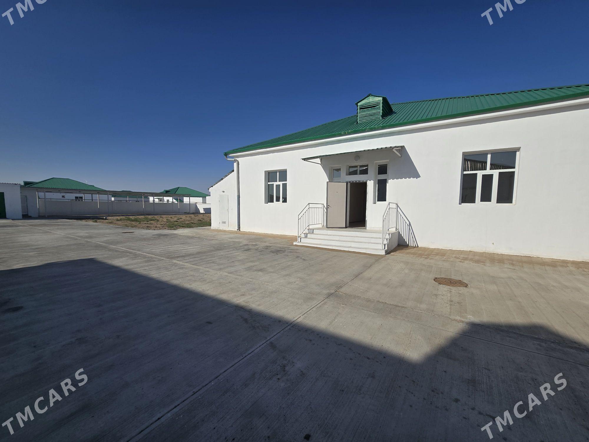 ÄNEW KÖRÇAY 16SOTOK - Анев - img 3