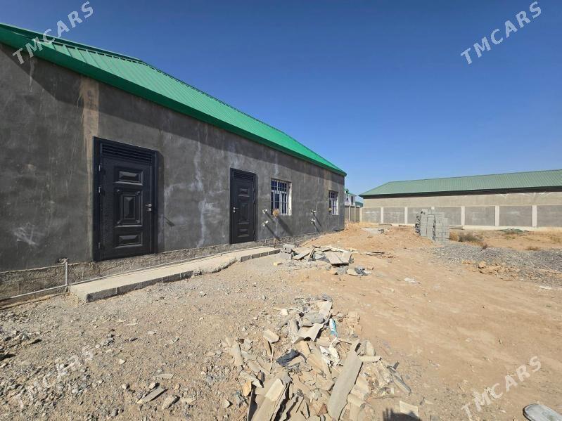 MAGTYMGULY 12SOTOK - Анев - img 1