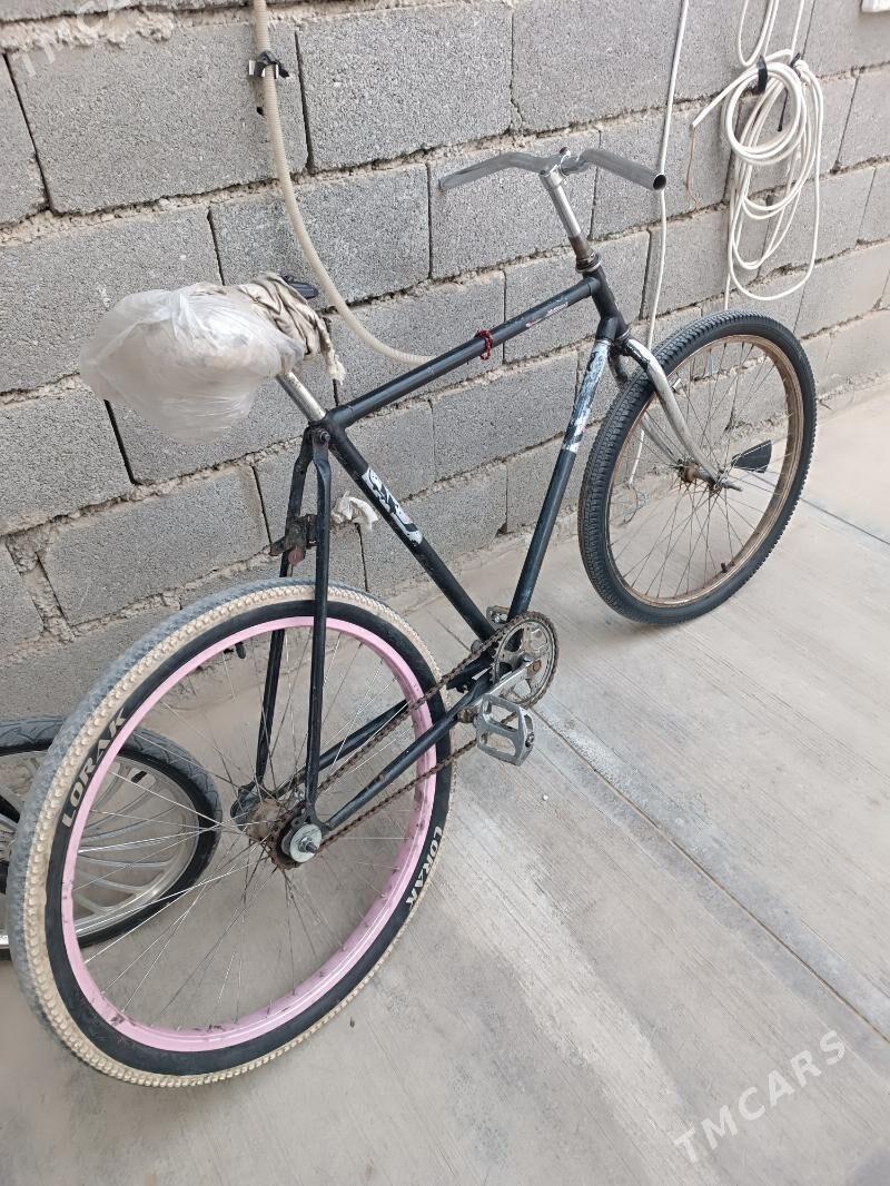 tigir - Büzmeýin - img 1