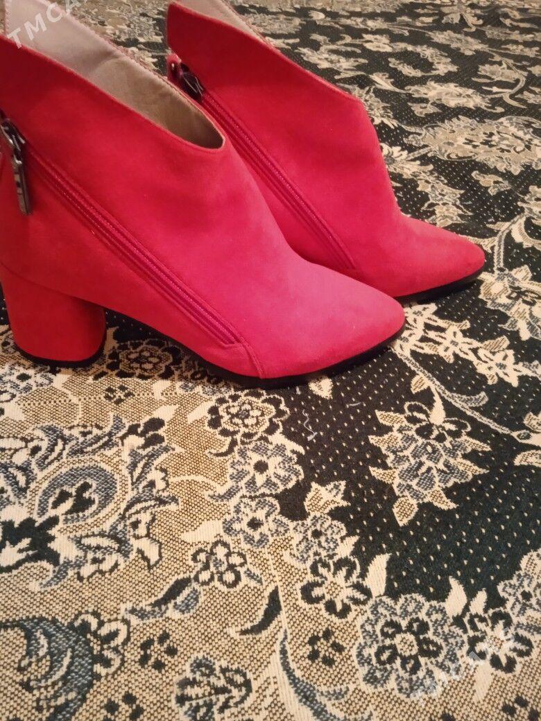 Карсовка - Туркменабат - img 2