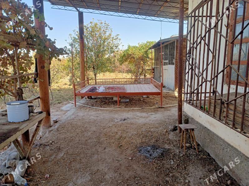 Дача(Dacha) - Туркменабат - img 4