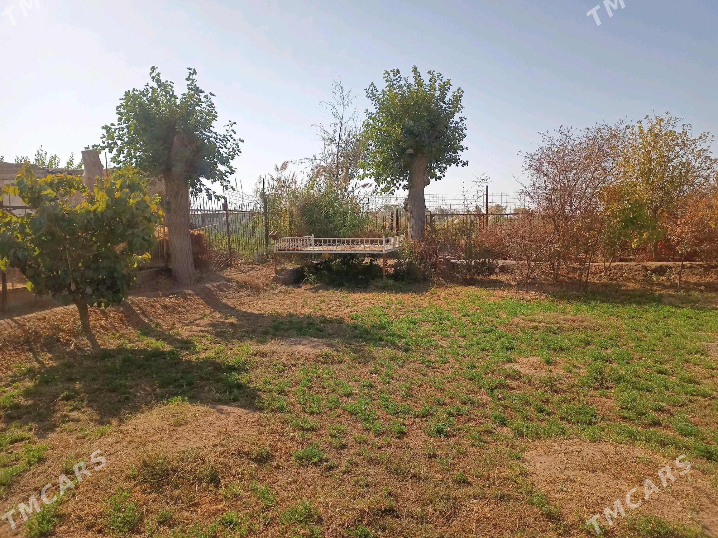 Дача(Dacha) - Туркменабат - img 1