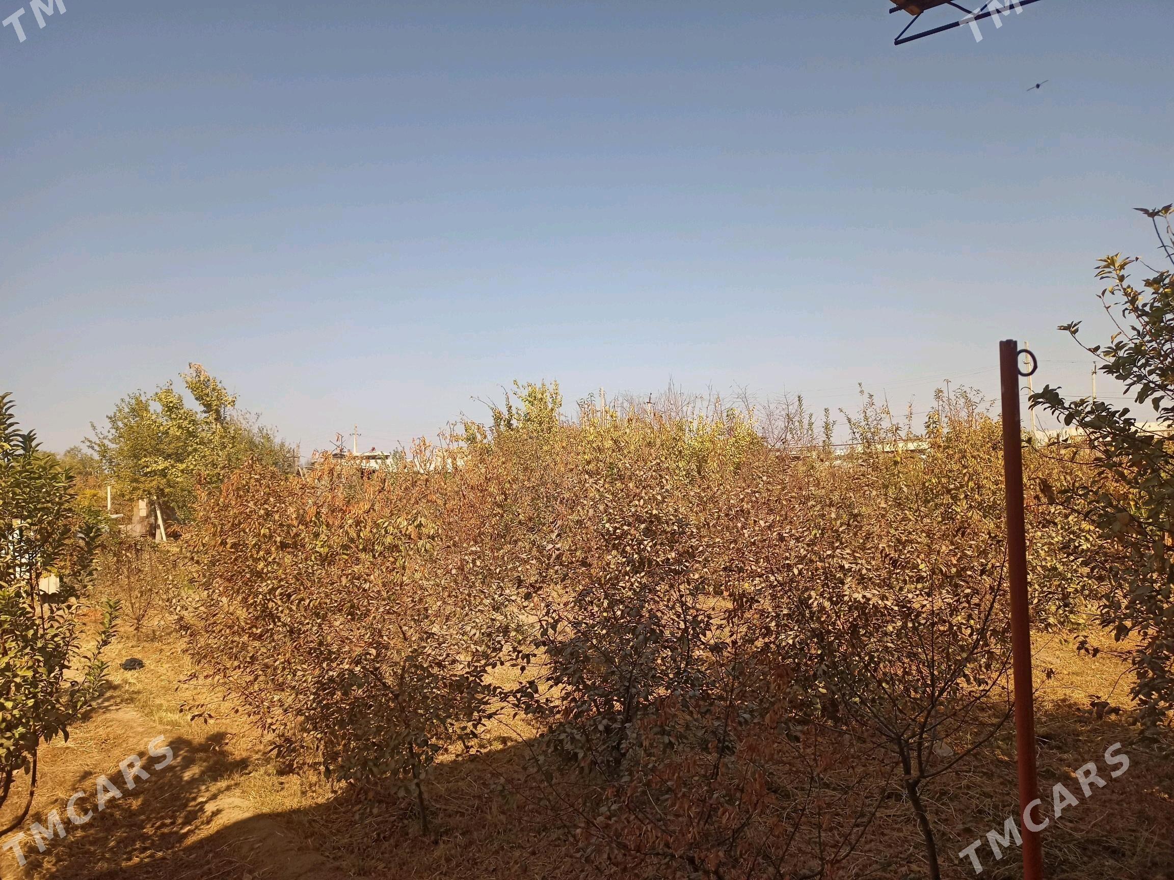 Дача(Dacha) - Туркменабат - img 3