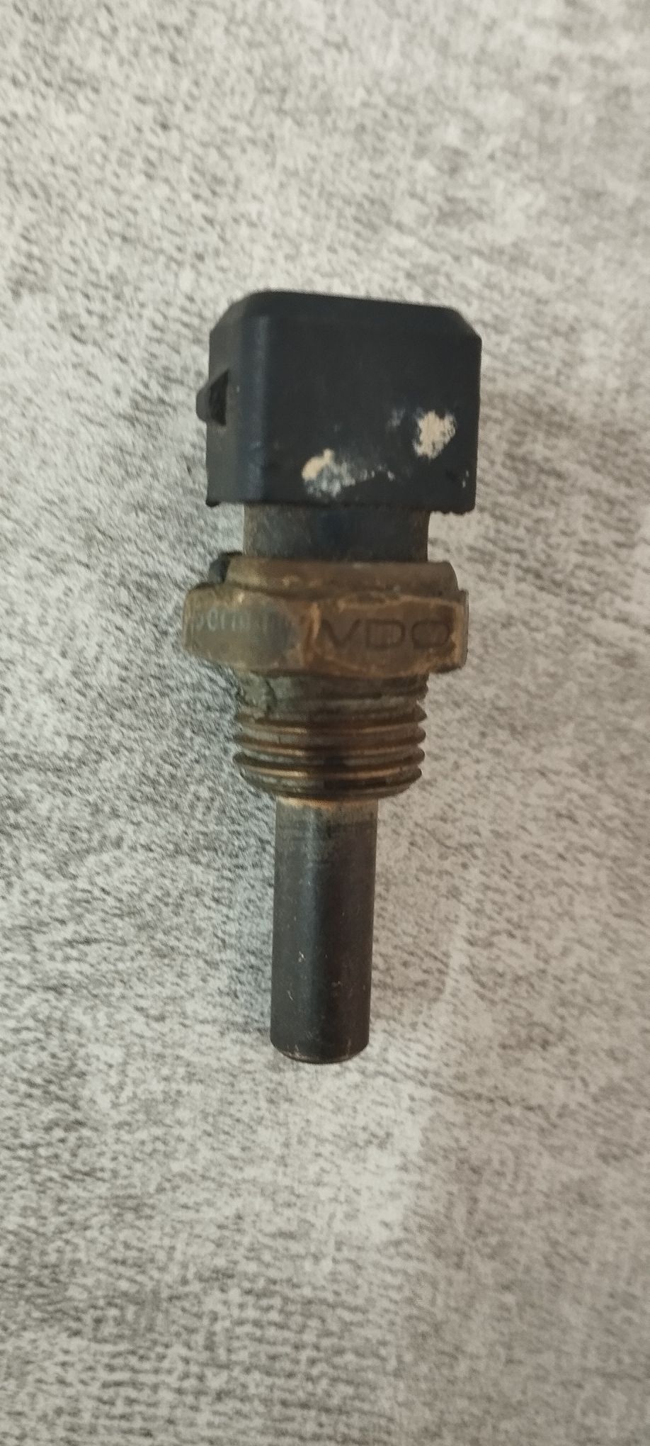 BMW 300 TMT - Mary - img 5