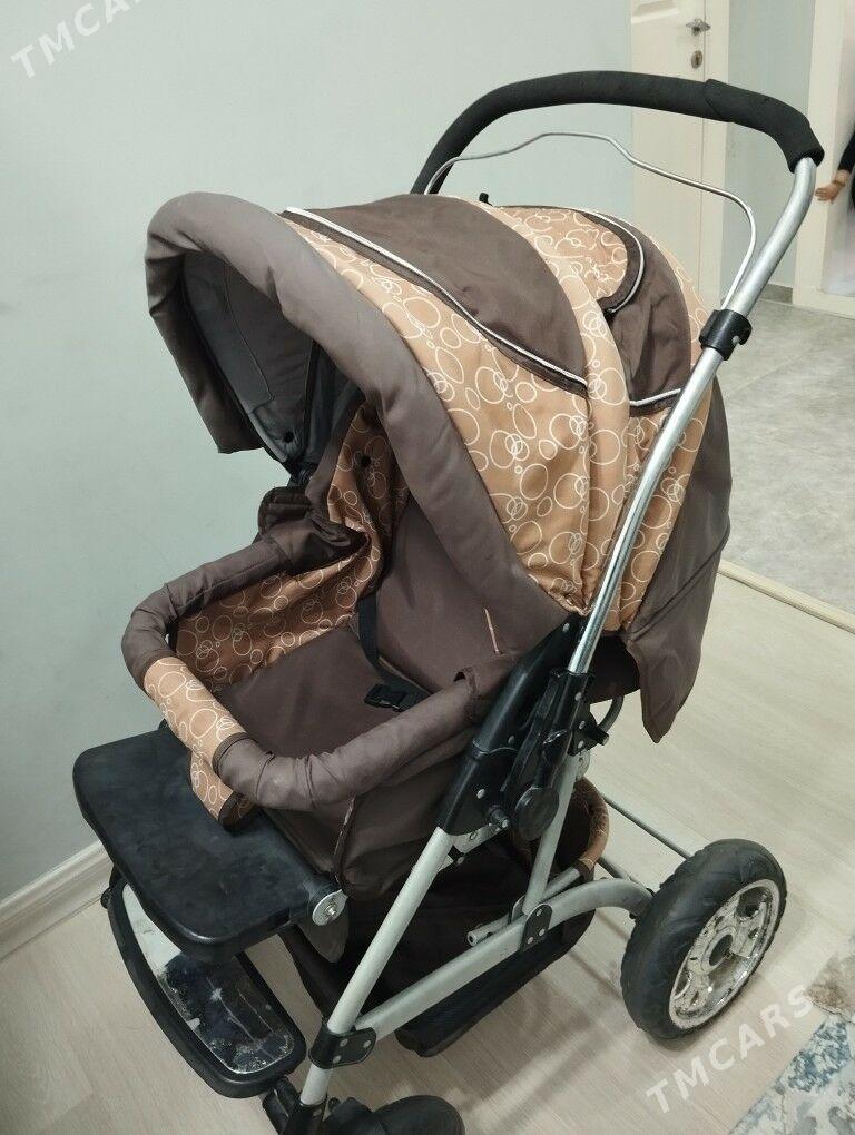 Caga kalyaska - Анев - img 1