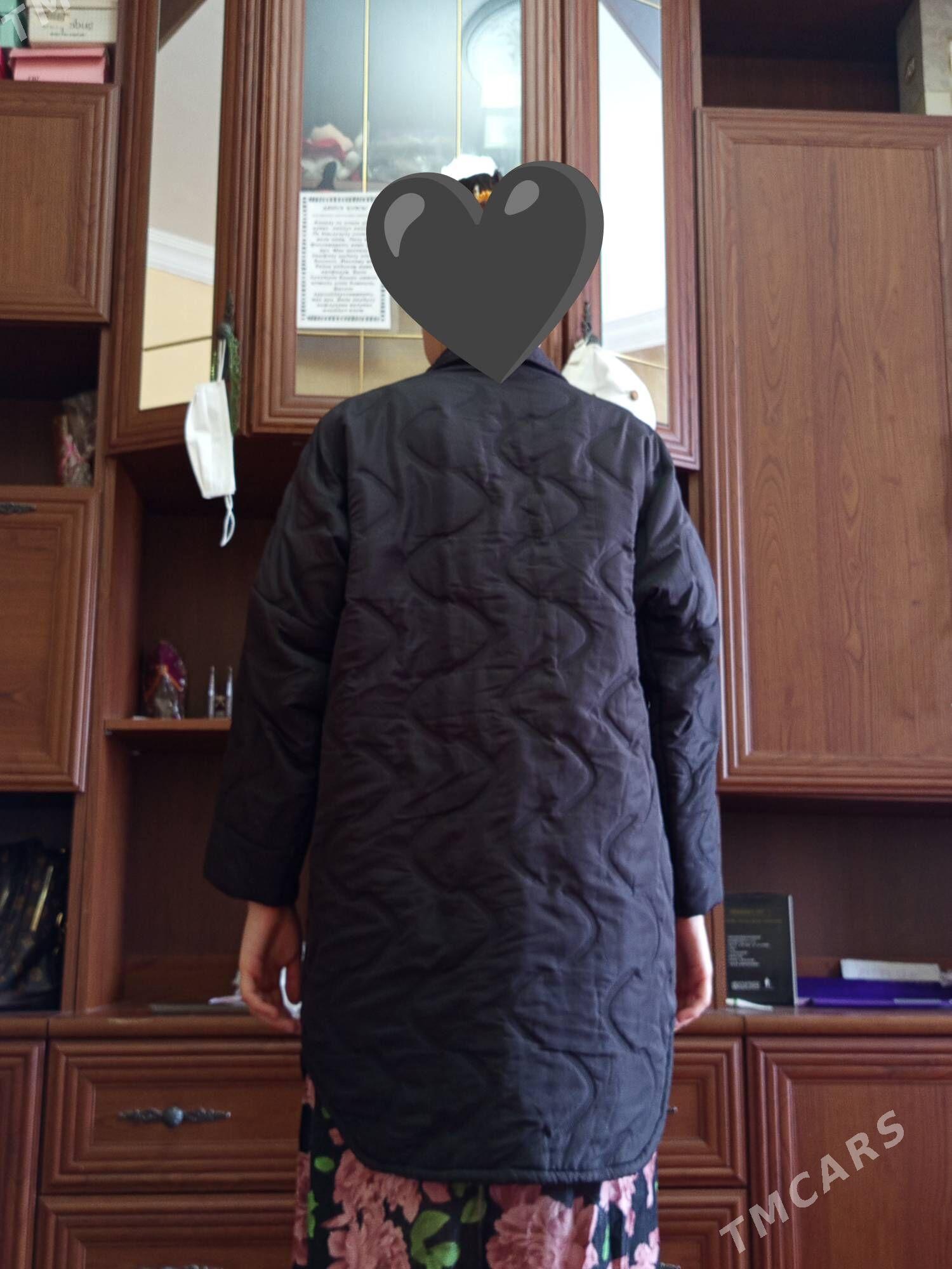 kurtkalar yensiz suba - Türkmenbaşy - img 9