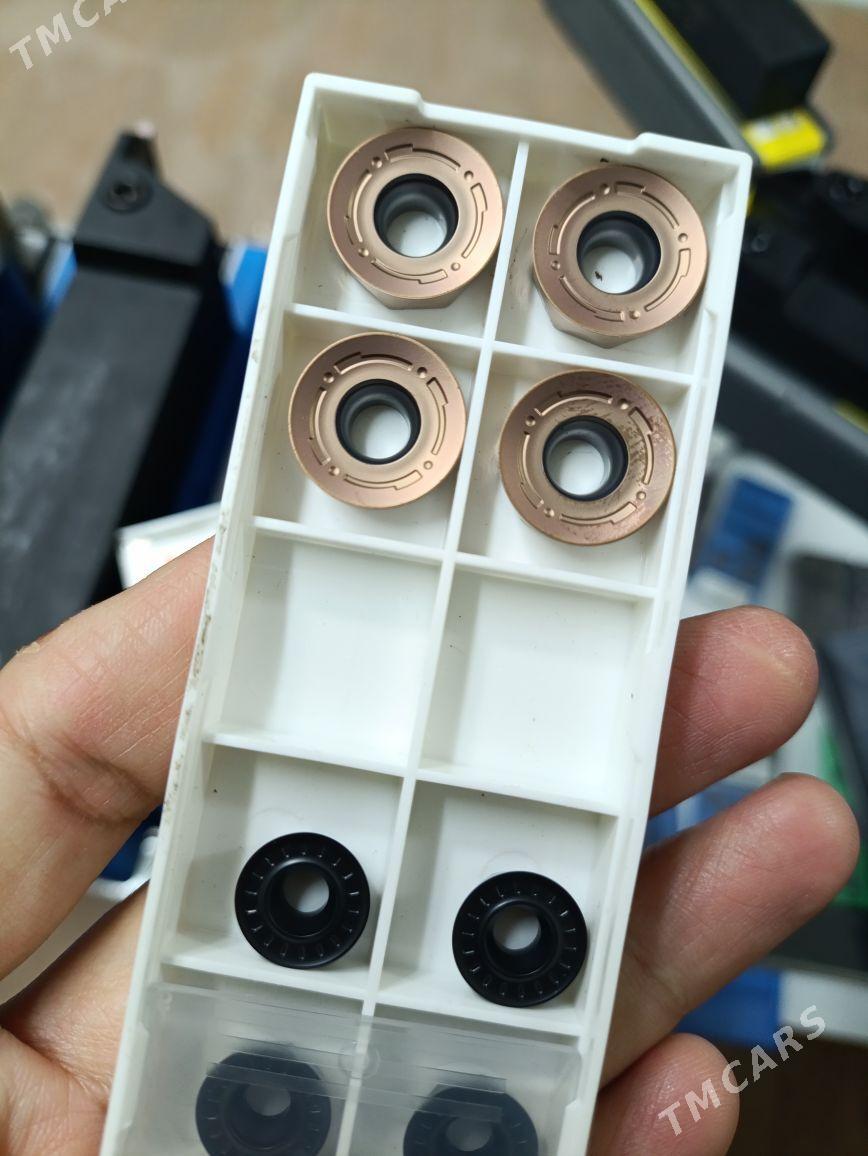 Tokar haryt rezesler - Mary - img 5