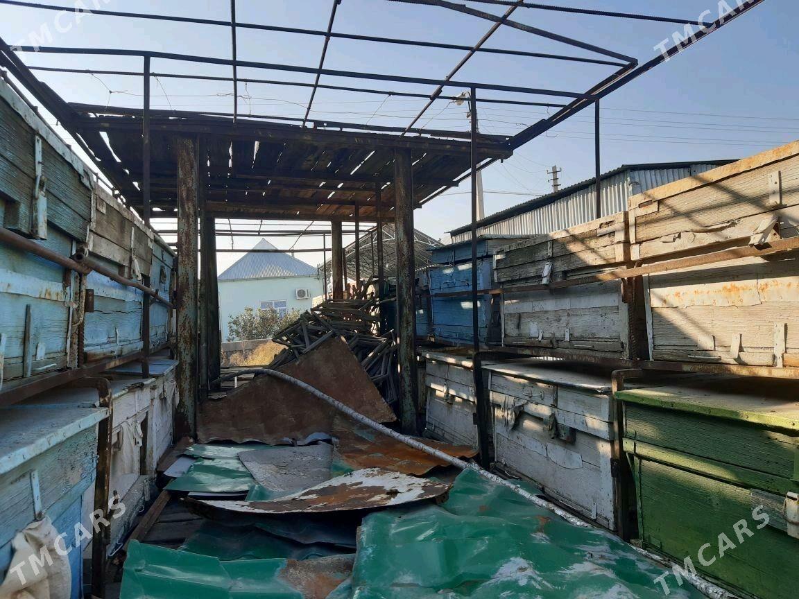 ary prisep - Гёкдепе - img 4