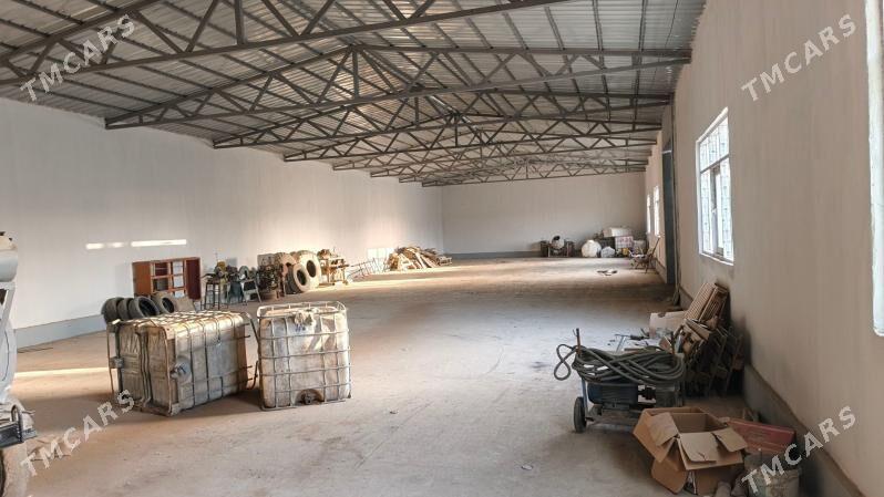 satlyk firma dowletnamaly - Анев - img 3