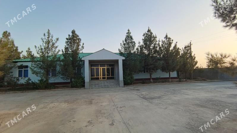 satlyk firma dowletnamaly - Анев - img 4