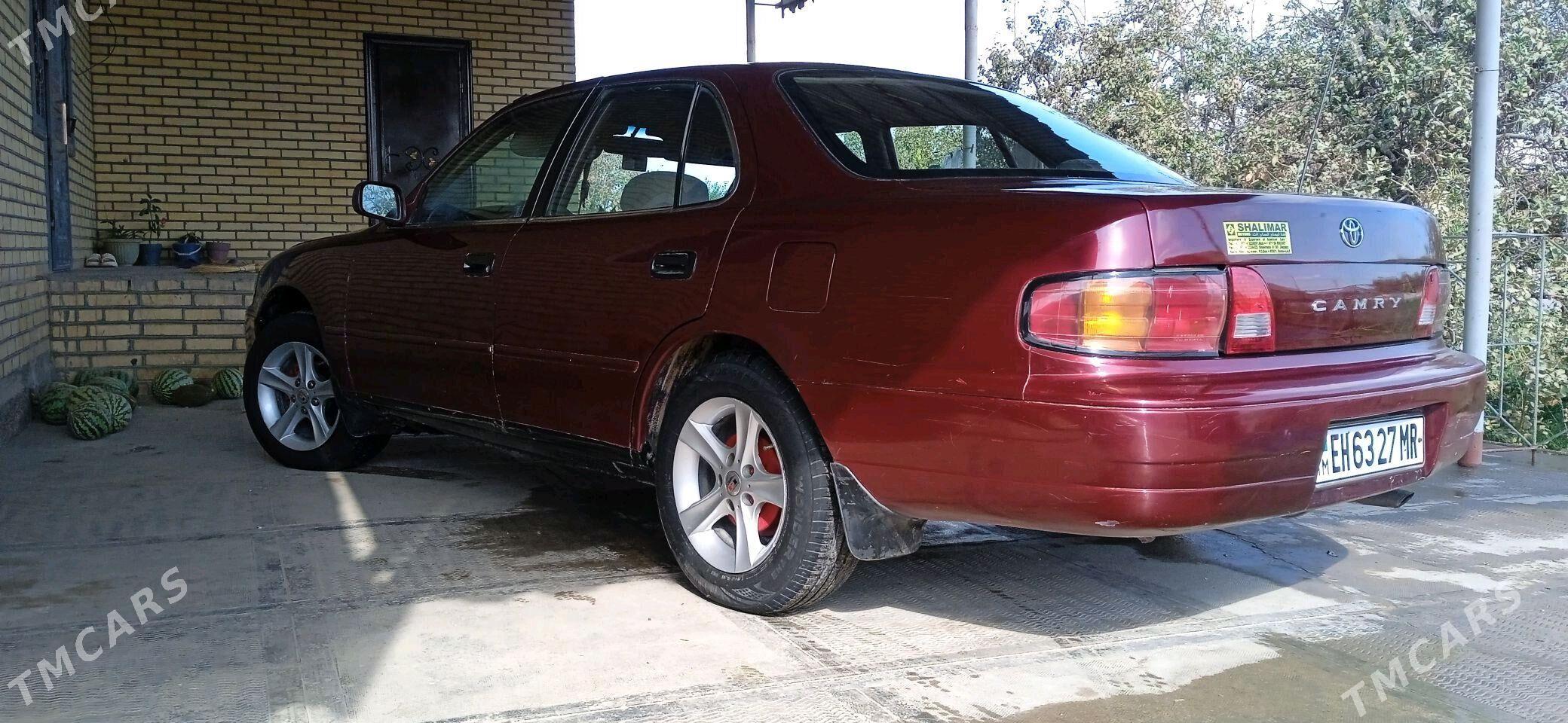 Toyota Camry 1995 - 85 000 TMT - Sakarçäge - img 9