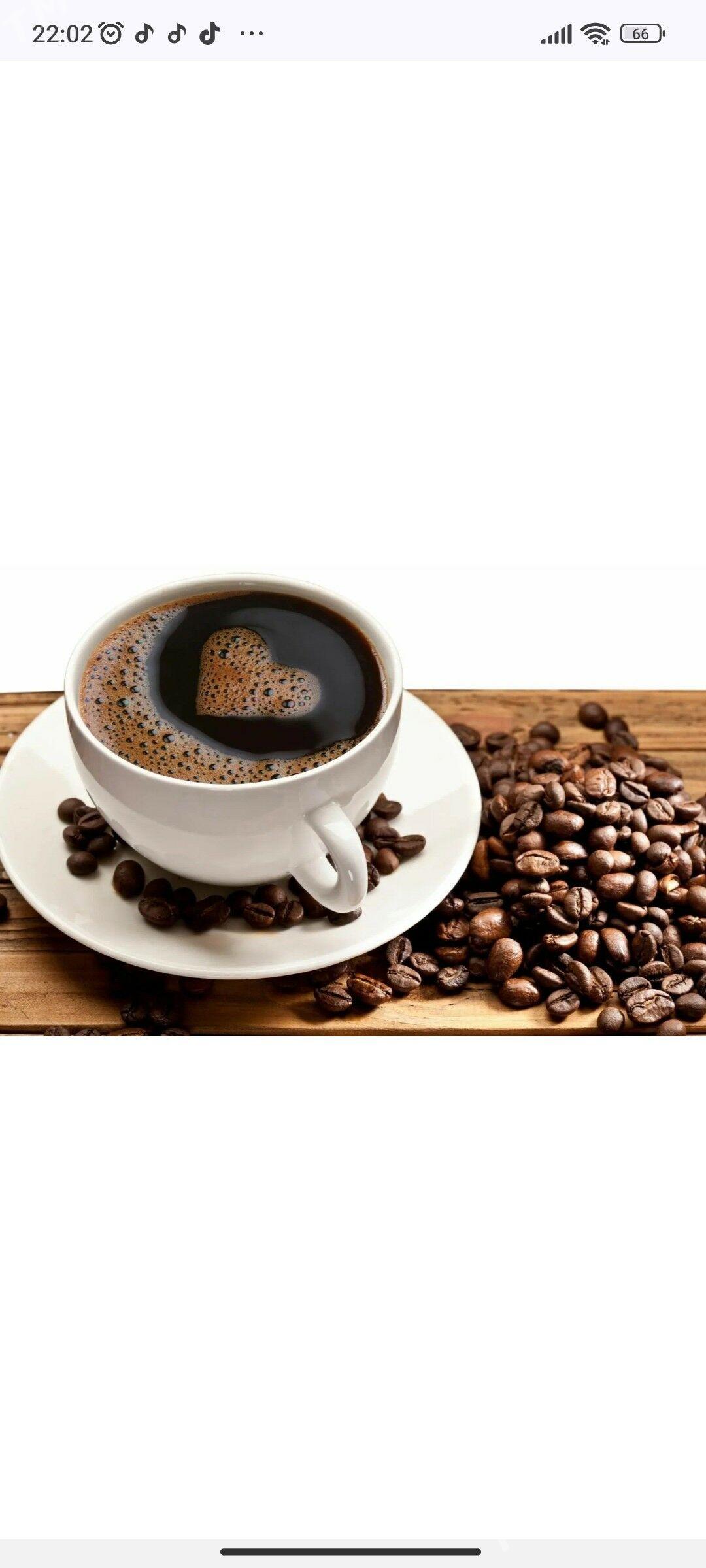 gyz işgâr gerek - Balkanabat - img 6