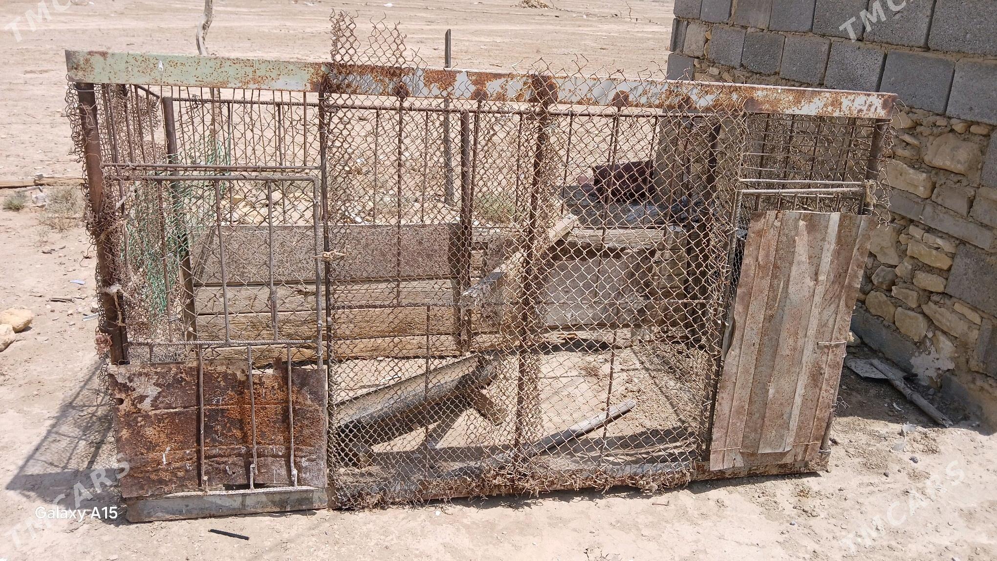 ketek - Этрек - img 1