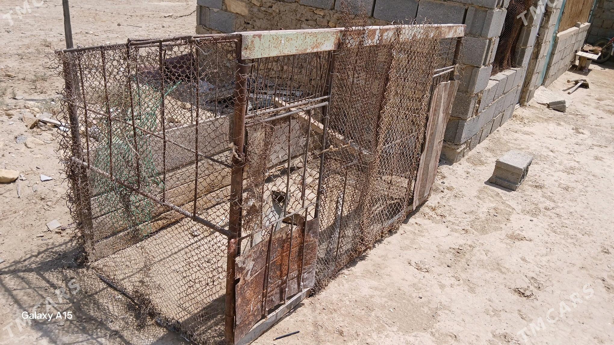 ketek - Этрек - img 2