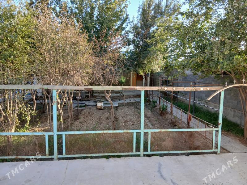 Satlyk jay - Бахарден - img 3