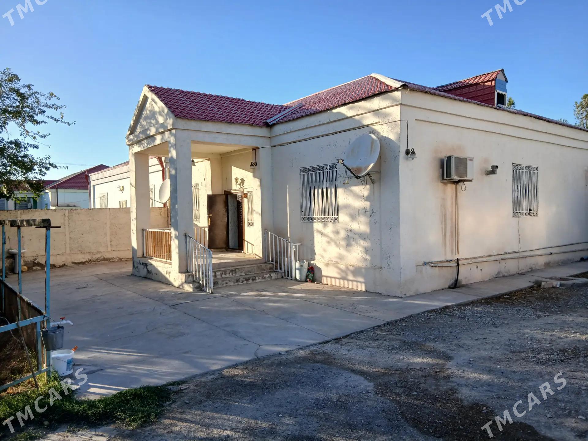 Satlyk jay - Бахарден - img 4