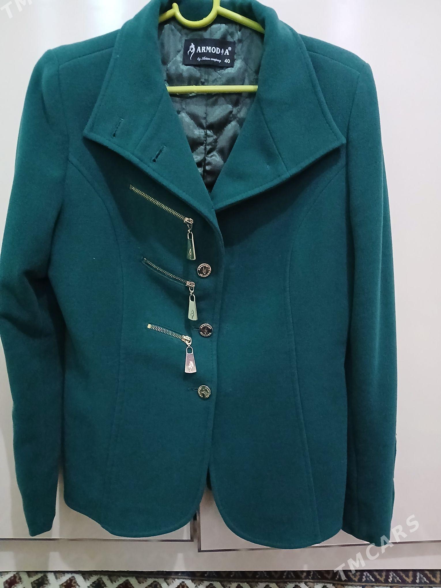 palto - Bagyr - img 2