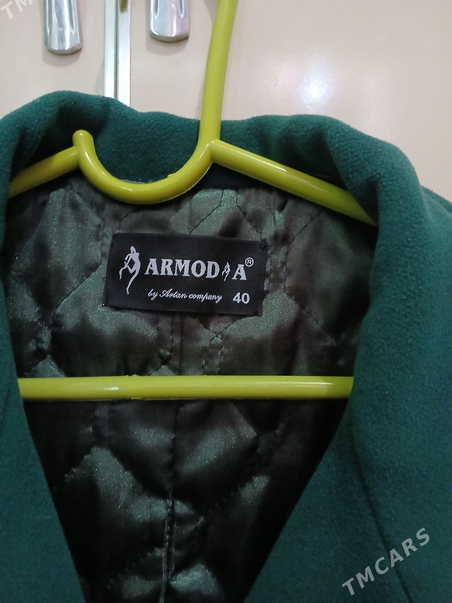 palto - Bagyr - img 3