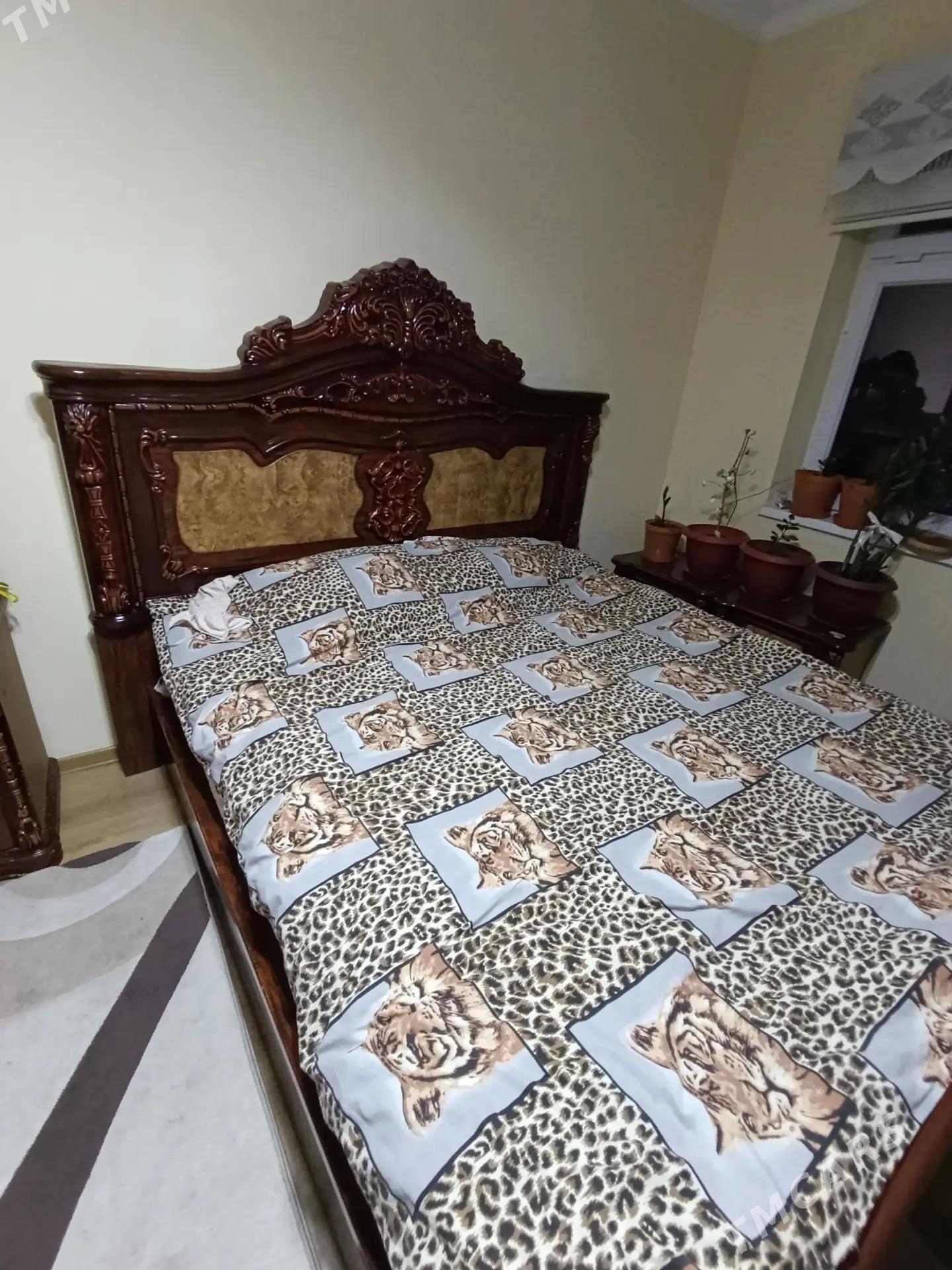 Ispanly Garnatur Turmosy - Ашхабад - img 2