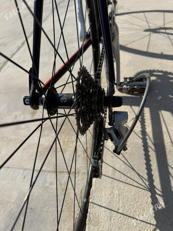 Sport Welosiped - Mary - img 2